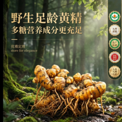 AI视频生成案例